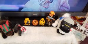 着物屋さんの馬