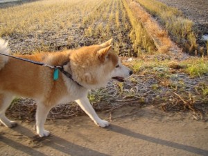 42101267_2322878924 42101267_2322878924