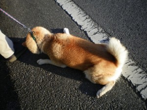 42101267_2696100285 42101267_2696100285