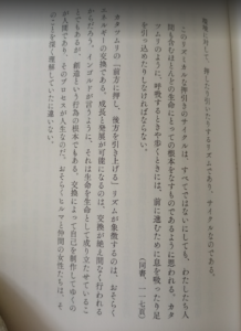 ヒルマ・アフ・クリント