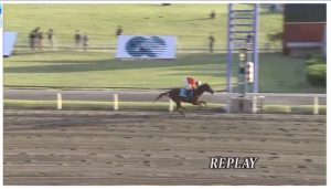 %e3%82%b9%e3%82%af%e3%83%aa%e3%83%bc%e3%83%b3%e3%82%b7%e3%83%a7%e3%83%83%e3%83%88-2016-11-04-15-41-27