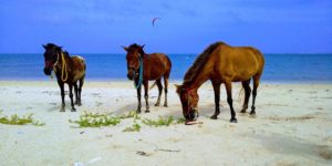 5F90D9FE-9CEE-4A1A-88B0-5AC95F7FC272