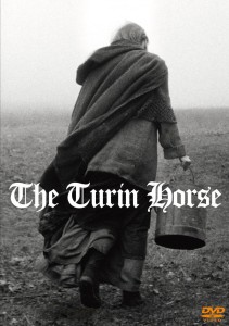 81tgYNdlrWL._SL1500_