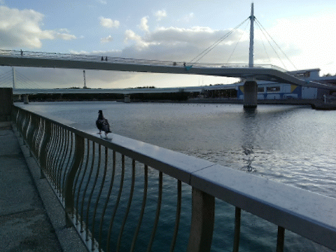 八景島 ハトくん