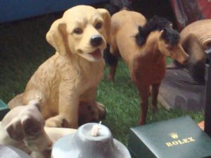 BED8EE88-C2FA-4A65-ADF5-DB6E03F62CEA