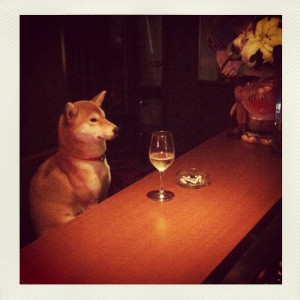 DJ-Day-Land-Of-1000-Chances