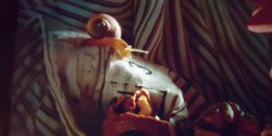 数に溺れてのカタツムリ