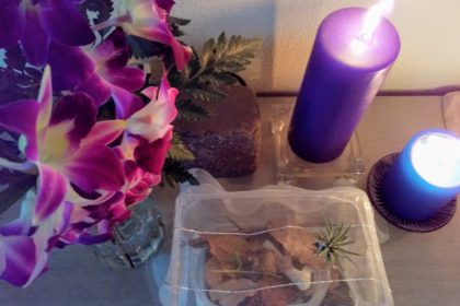 カタツムリのお葬式