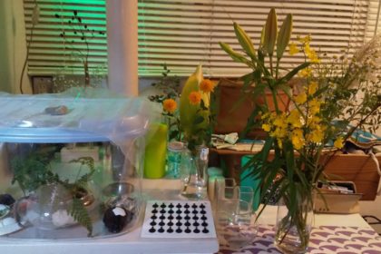 女子ちゃん追悼