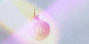 怪獣カタツムリ