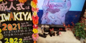 着物やさんの馬