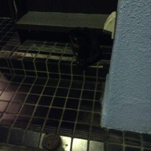 %e5%86%99%e7%9c%9f-2016-10-01-23-51-33