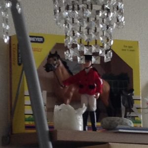 %e5%86%99%e7%9c%9f-2016-10-02-8-54-51