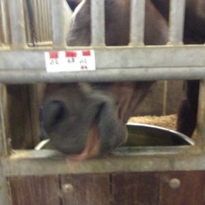 %e5%86%99%e7%9c%9f-2016-10-12-15-53-39