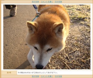 e4b889e69e9ae3818ae3828de381972