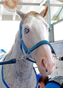 %e3%82%b9%e3%82%af%e3%83%aa%e3%83%bc%e3%83%b3%e3%82%b7%e3%83%a7%e3%83%83%e3%83%88-2016-10-02-02-30-21